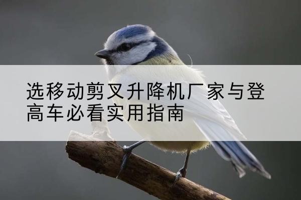 滦平电动升降机厂家-选移动剪叉升降机厂家与登高车必看实用指南