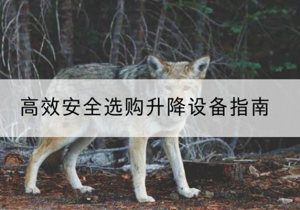 滦平升降货梯厂家推荐-*安全选购升降设备指南